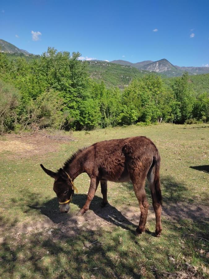 La Masseria Di Antonio E Teresina Colli a Volturno Zewnętrze zdjęcie