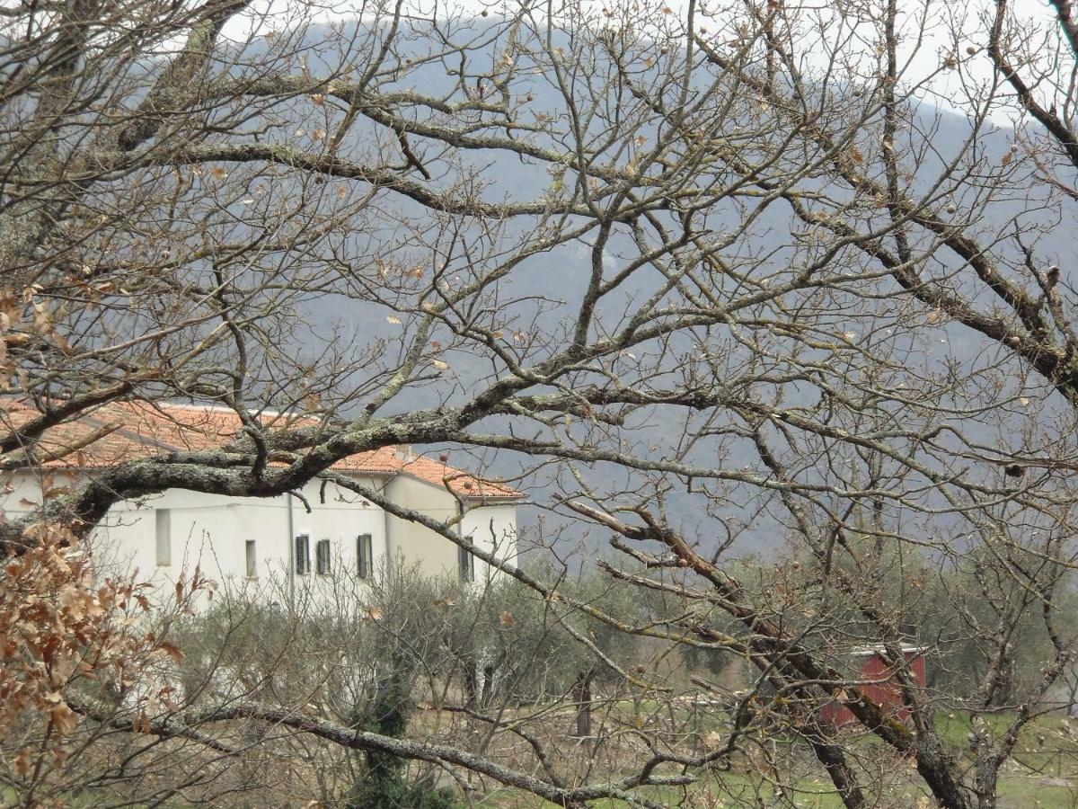 La Masseria Di Antonio E Teresina Colli a Volturno Zewnętrze zdjęcie
