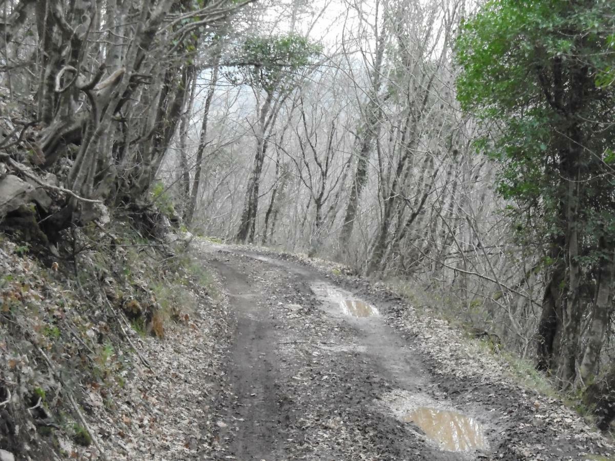 La Masseria Di Antonio E Teresina Colli a Volturno Zewnętrze zdjęcie