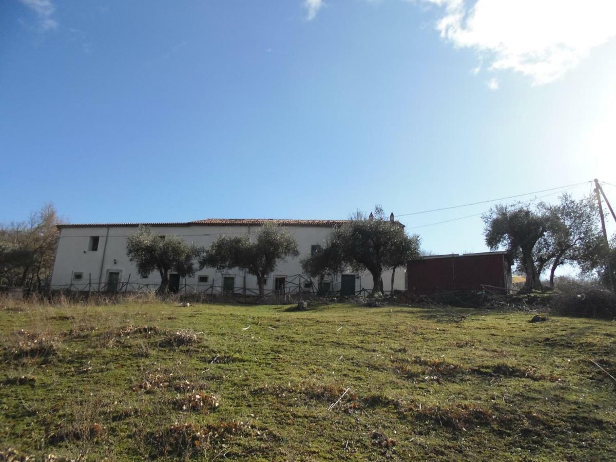 La Masseria Di Antonio E Teresina Colli a Volturno Zewnętrze zdjęcie