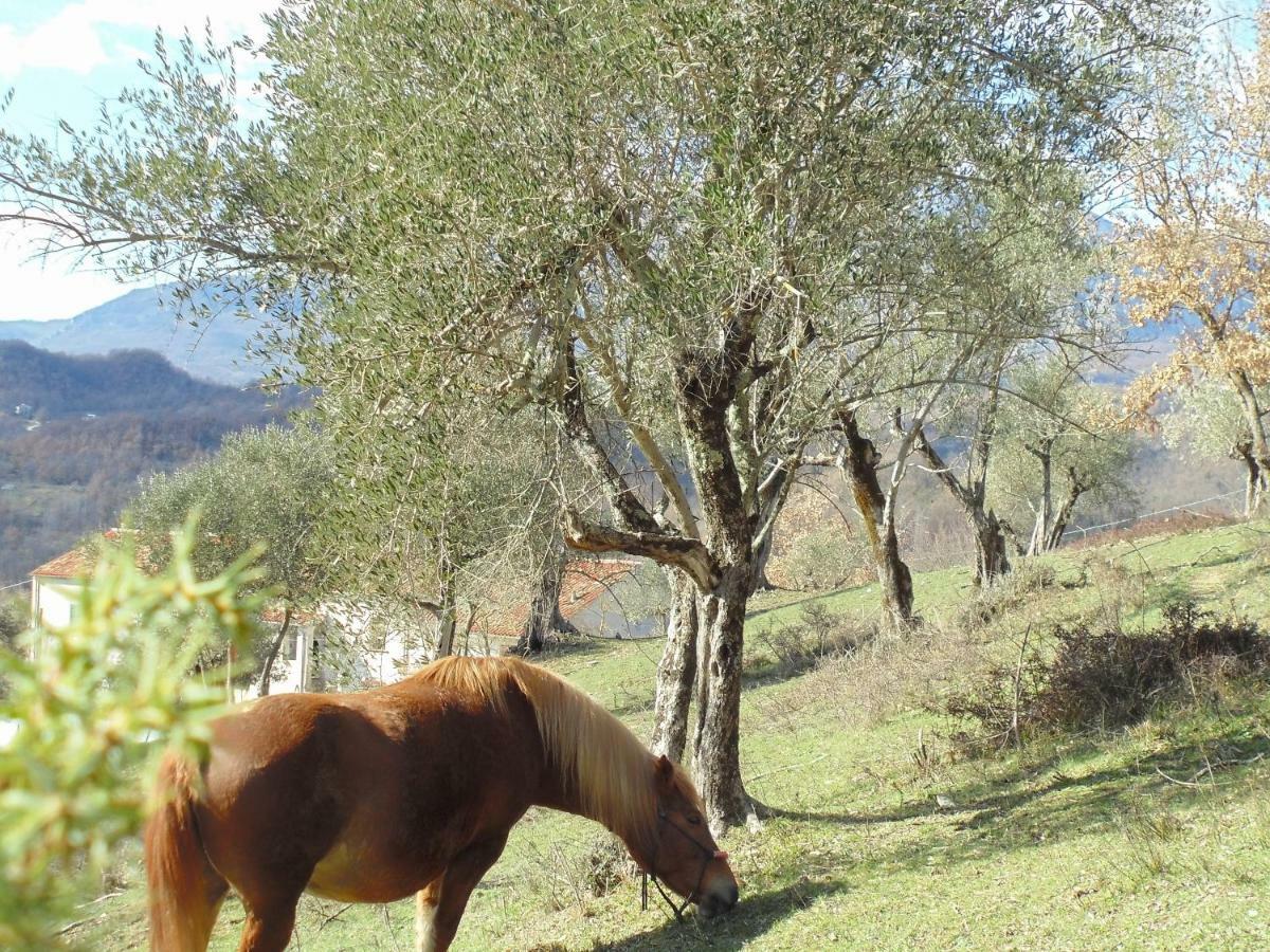 La Masseria Di Antonio E Teresina Colli a Volturno Zewnętrze zdjęcie