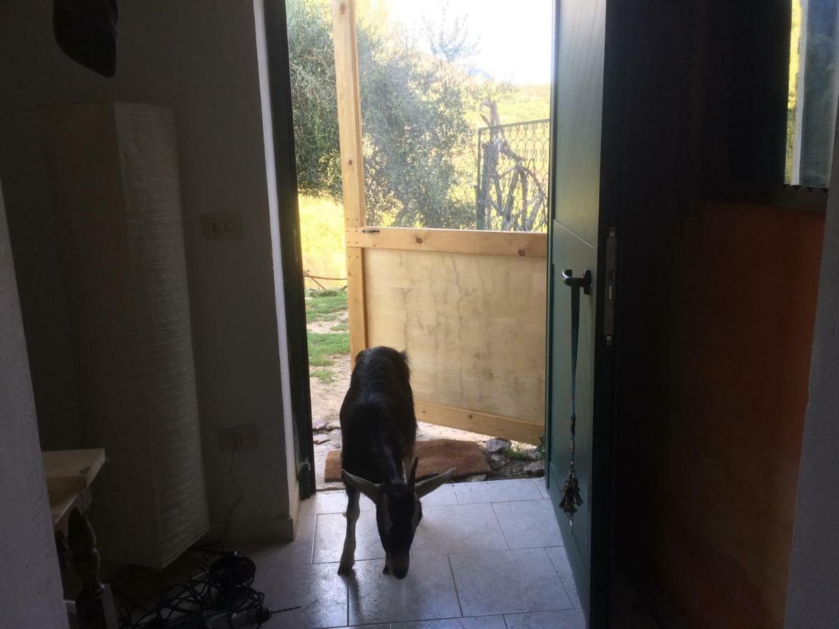La Masseria Di Antonio E Teresina Colli a Volturno Zewnętrze zdjęcie